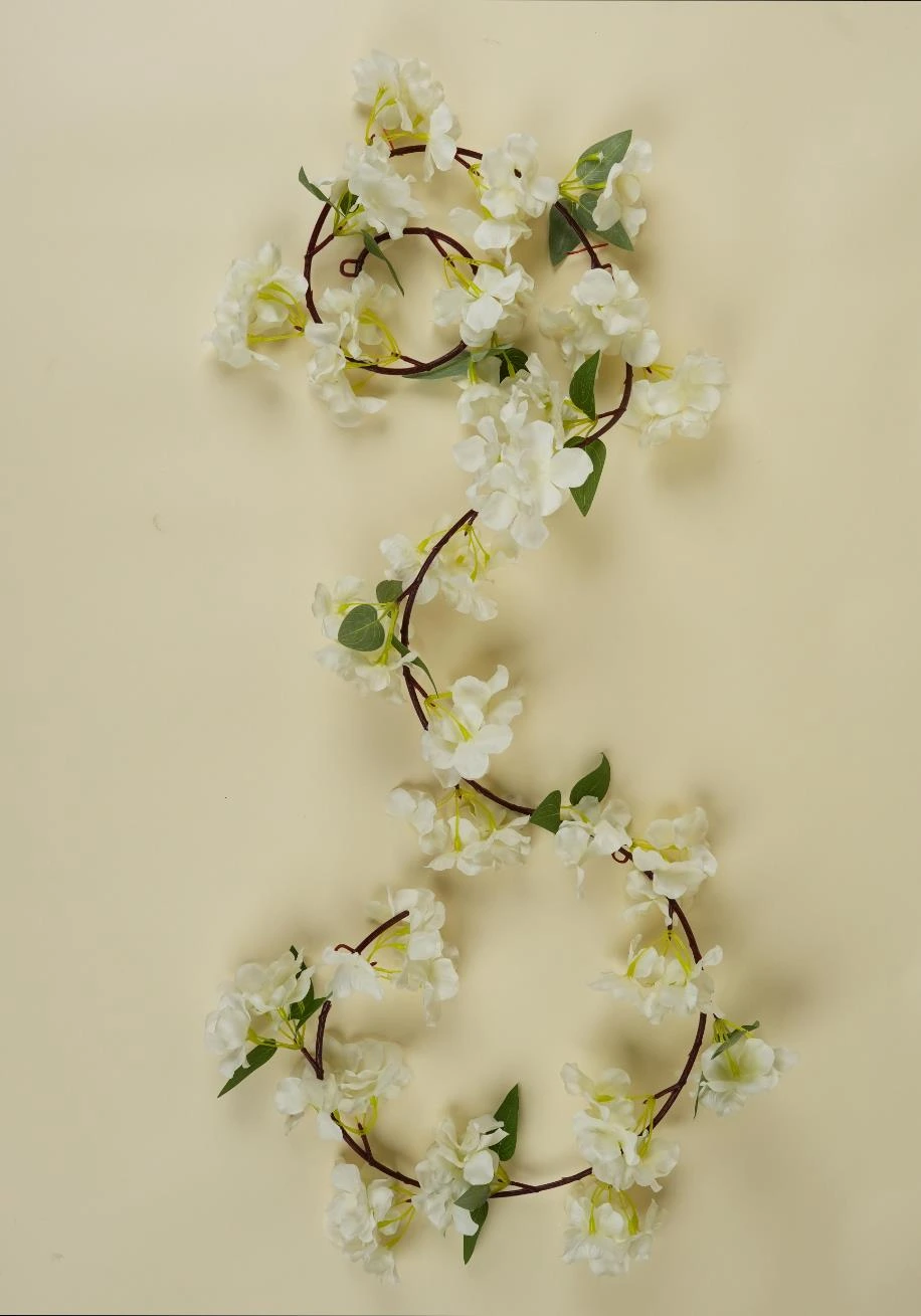 Hydrangea Creeper x1 Size: 180 cm